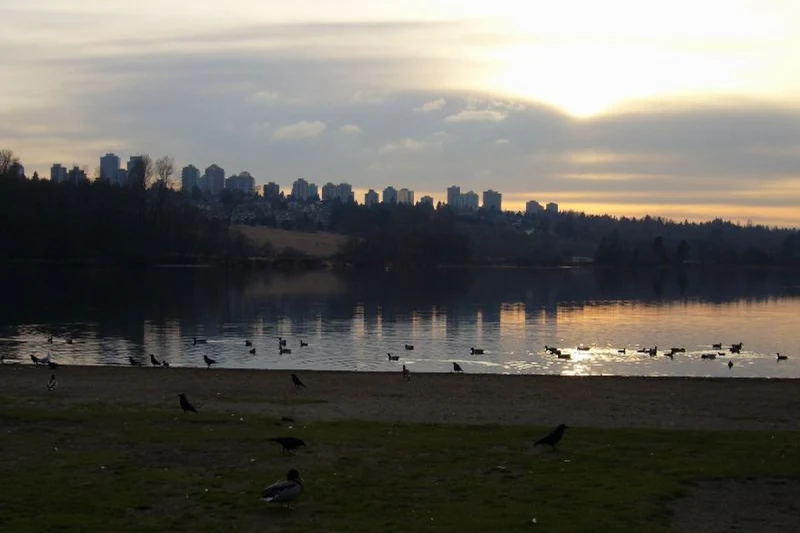 Deer Lake and the Burnaby skyline