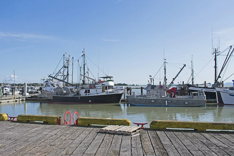Fishing boats in Steveston Harbour, Richmond